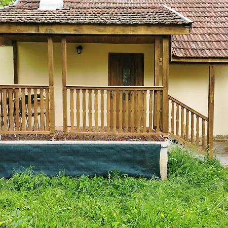 Orman Evi Zuzka *